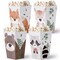 Big Dot of Happiness Woodland Animals Popcorn Boxes, Forest Baby Shower or Birthday Favors, Assorted Treat Boxes of Bear, Fox, Deer, Raccoon - 12 Ct
